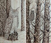 Eastern Screech Owl and Great Horned Owl