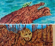 Turtle on Dragon Log and Lion Rock